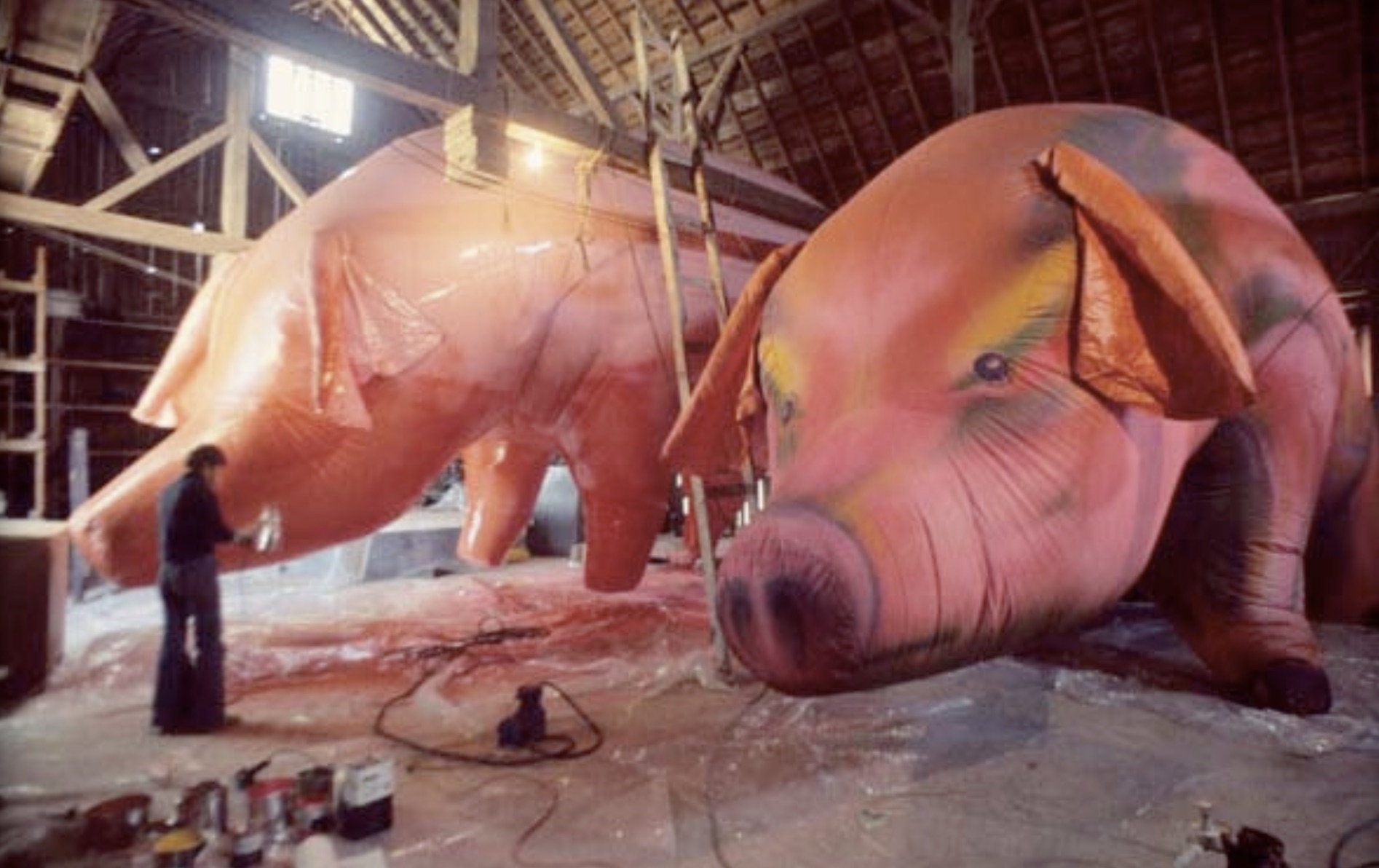 Two pigs being painted behind the scenes